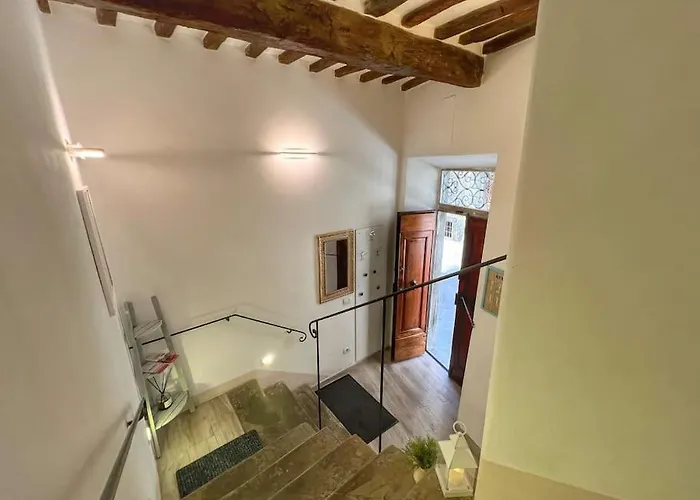 Tolletta 10elode 아레초