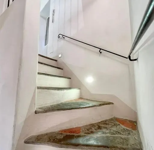 Tolletta 10elode * 아레초