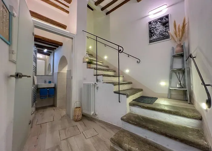 Tolletta 10elode 아레초