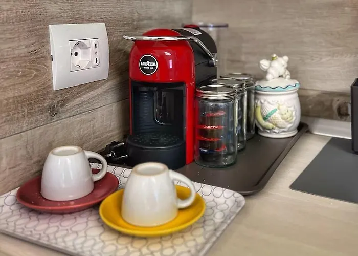 Tolletta 10elode 아레초