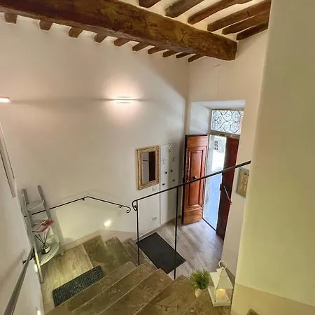 Tolletta 10elode Arezzo