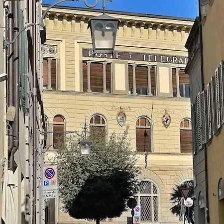 Tolletta 10elode * Arezzo