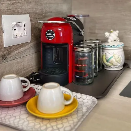 Tolletta 10elode Arezzo